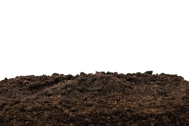 Soil Behavior Image